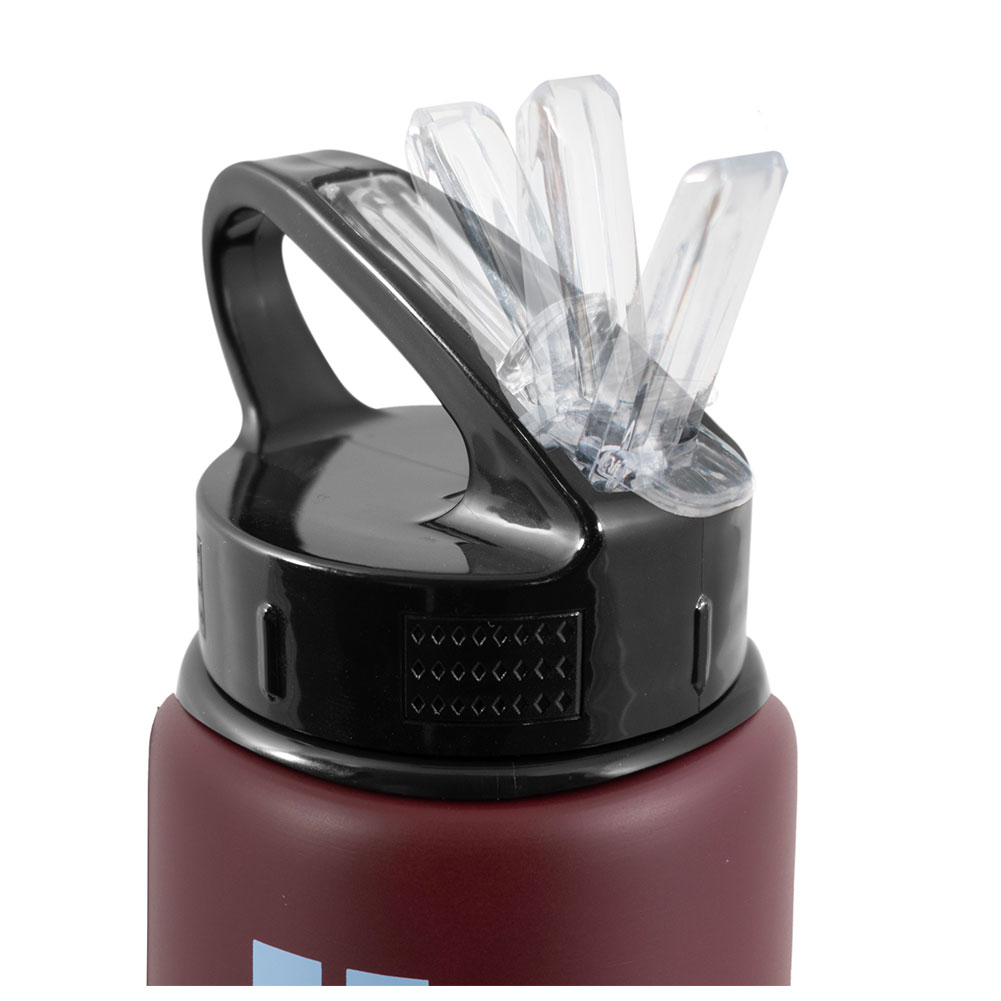 Aston Villa aluminium drinks bottle